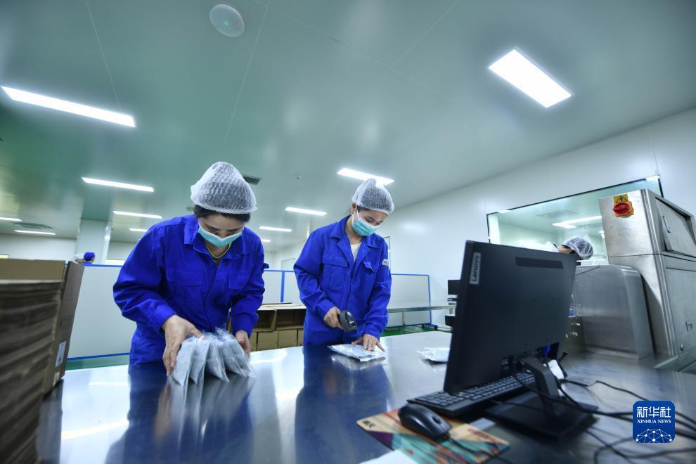 通宝网址多少